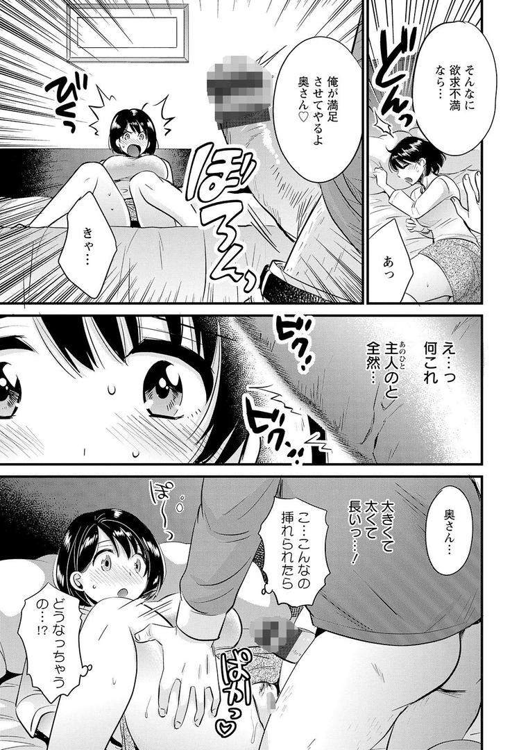 【エロ漫画】主人には内緒（ポン貴花田）【b061bangl01442】