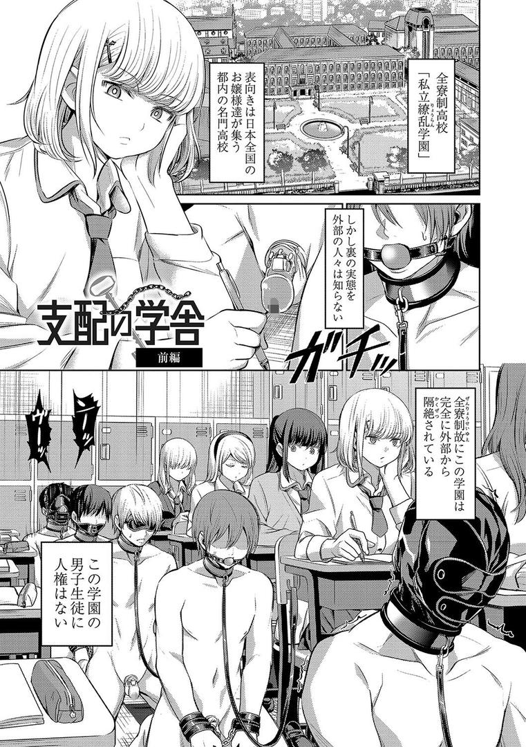 【エロ漫画】ざ・ふぃめーる・どみねーしょん【デジタル特装版】（山畑璃杏）【b092agwrk02598】