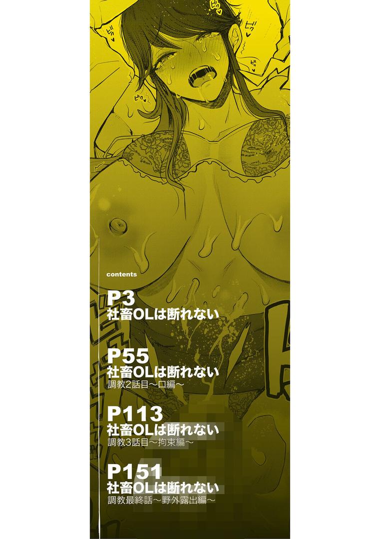 【エロ漫画】社畜OLは調教を断れない（しょむ）【b104atint01867】