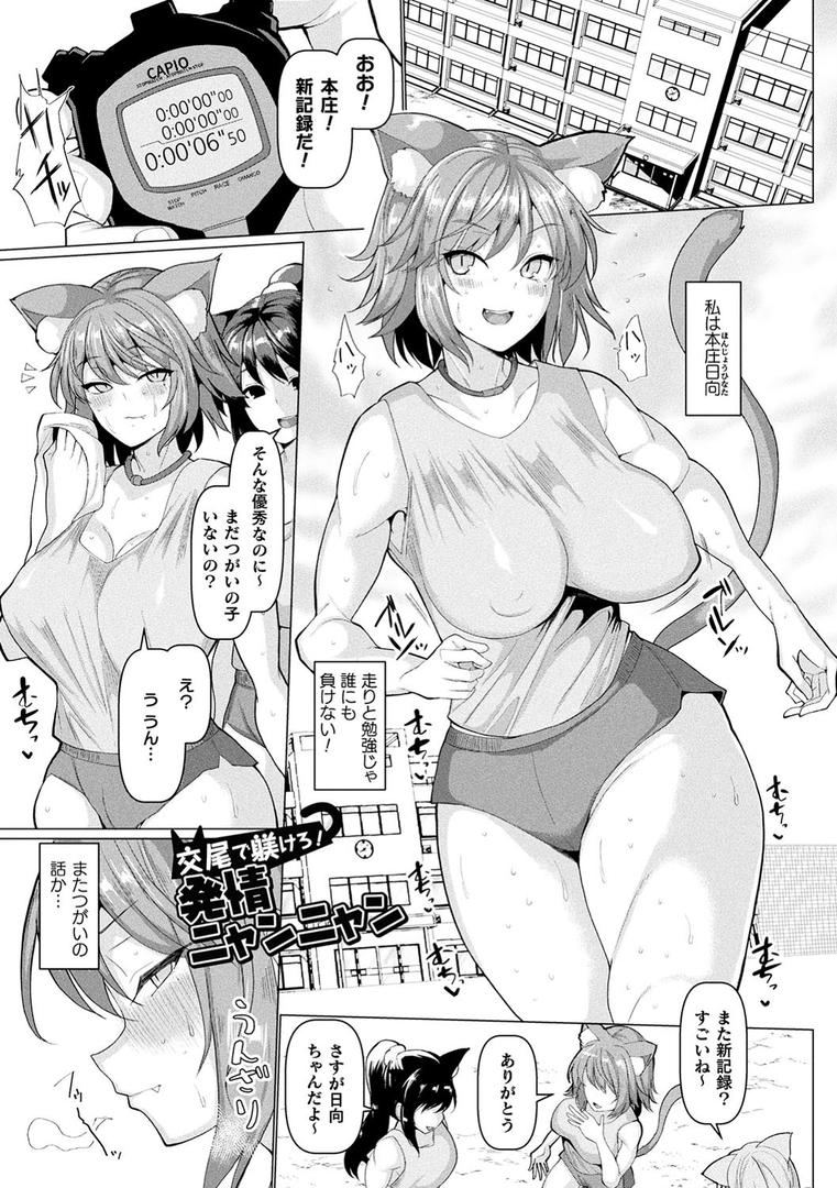 【エロ漫画】発情ケダモノ交尾録 種付けおじさん語録かるた付き限定版(chin)【b241bktur01103】 【エロ漫画】発情ケダモノ交尾録 種付けおじさん語録かるた付き限定版(chin)【b241bktur01103】