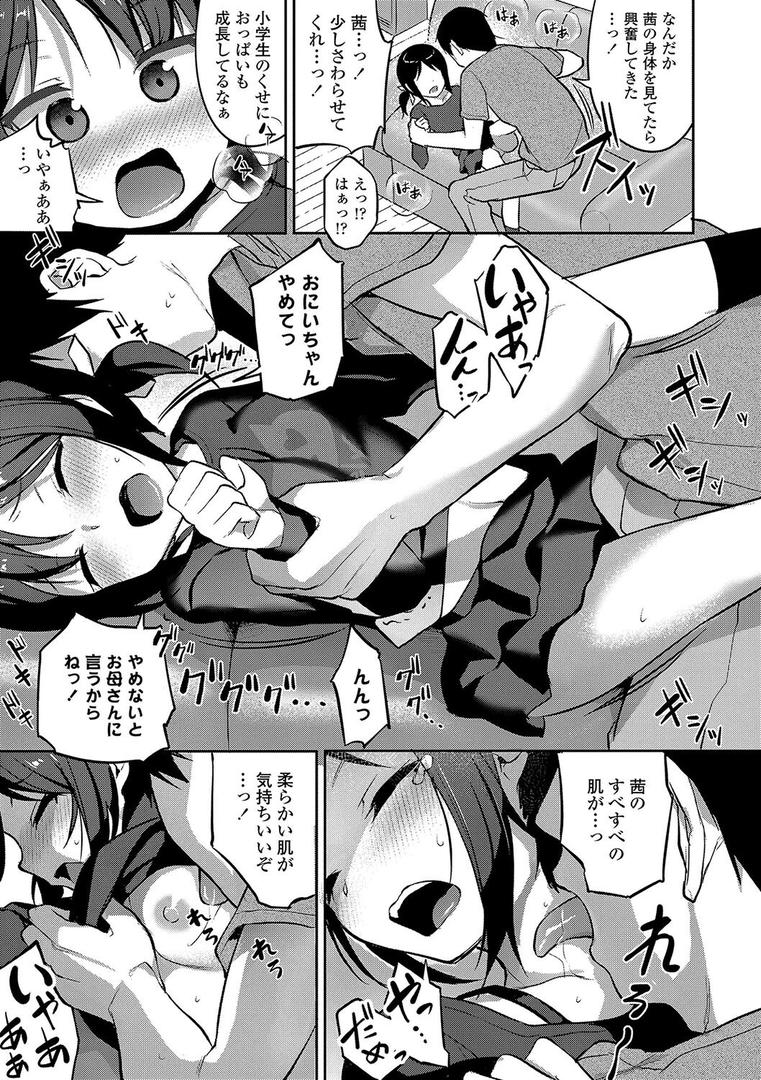 【エロ漫画】嫌がる妹を押し倒してイロイロとえっちなことをしたい！【FANZA限定特典付き】（はやけ）【b425aakkg00584】