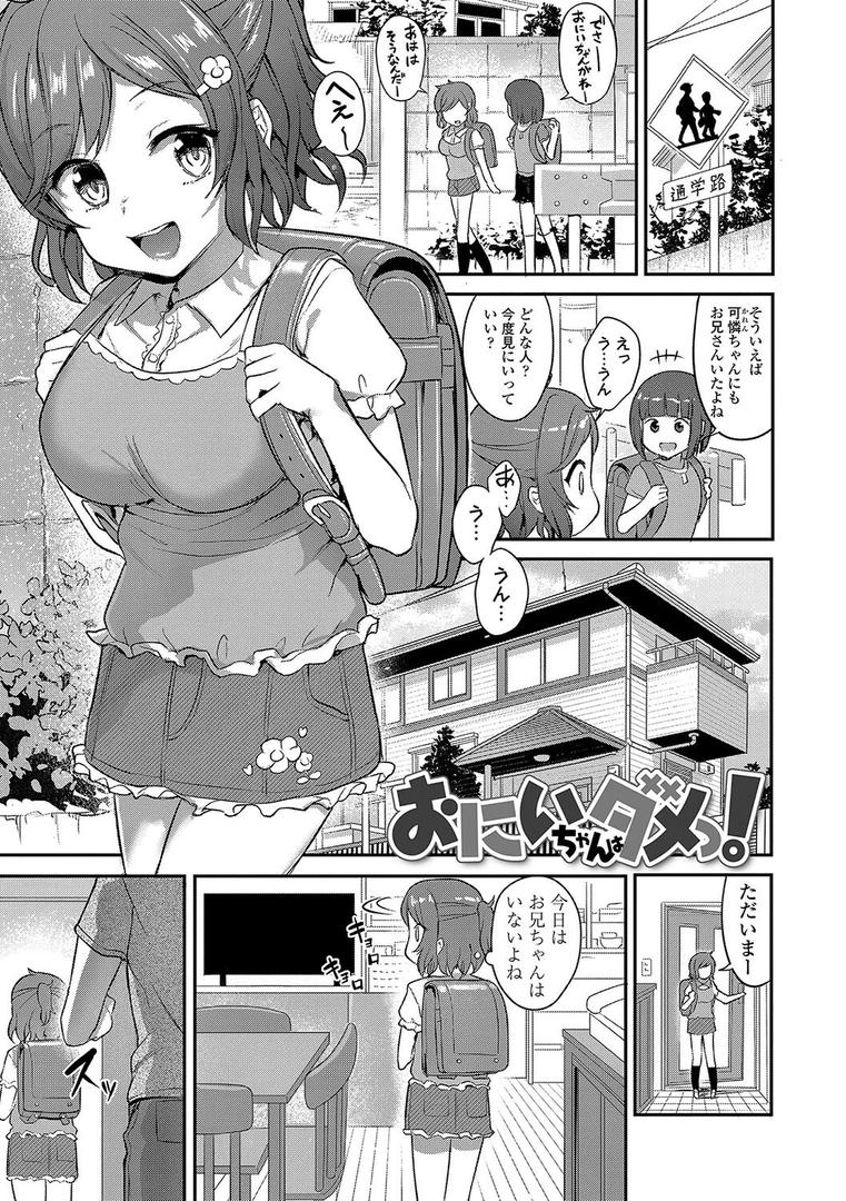 【エロ漫画】嫌がる妹を押し倒してイロイロとえっちなことをしたい！【FANZA限定特典付き】（はやけ）【b425aakkg00584】