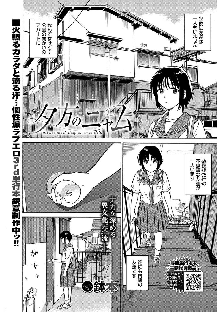 【エロ漫画】夕方のニャム（鉢本）【b472abnen03301】