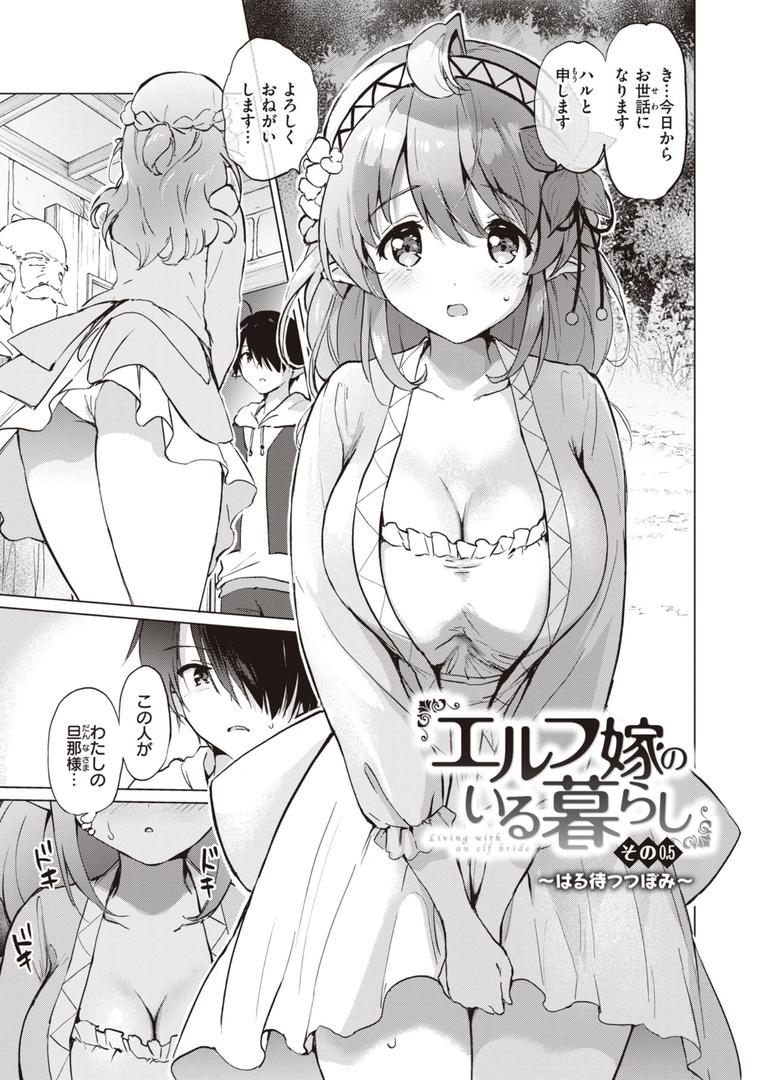 【エロ漫画】蜜月パラダイス（つかこ）【b915awnmg02130】