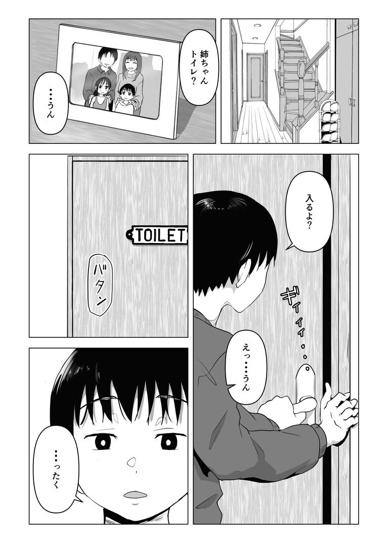 【エロ漫画】あたりまえせっくす 1巻 姉と弟の日常（もちち丸）【k804annbn09514】
