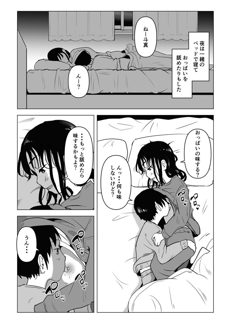【エロ漫画】あたりまえせっくす 1巻 姉と弟の日常（もちち丸）【k804annbn09514】